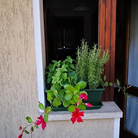Apartmán Al Parco Belluno